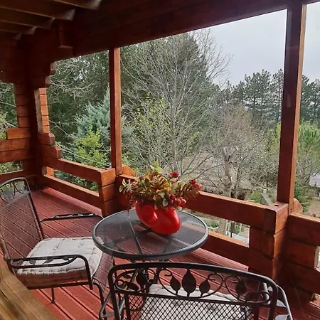 Dajti Paradise