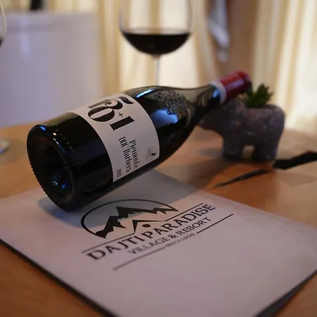 Paradise Hostal Dajti