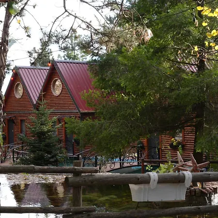 Dajti Paradise 4*