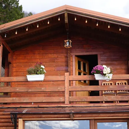 Hostal Paradise Dajti