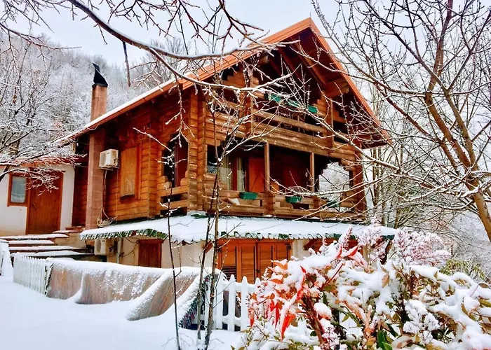 Hostel Paradise Dajti